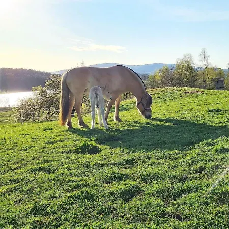 5 Person In Lonevag-by Traum * Lonevåg