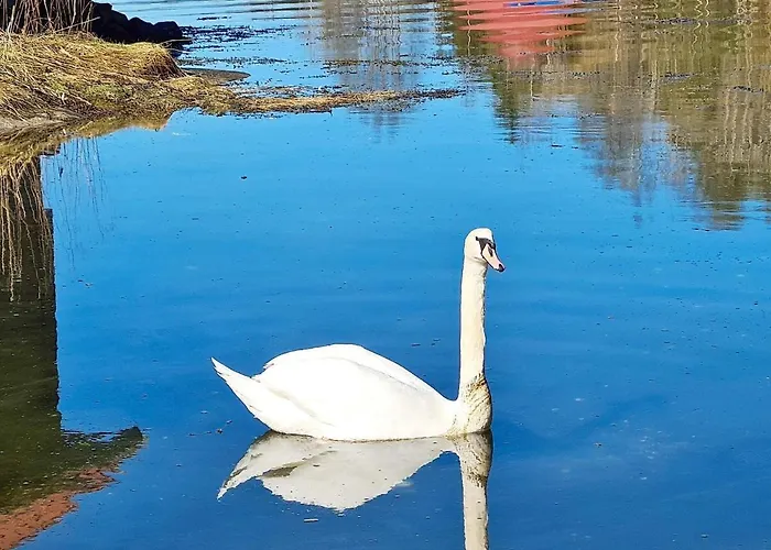 Feriehus 5 Person In Lonevag-by Traum *