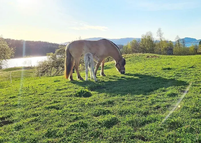 5 Person In Lonevag-by Traum * Lonevåg