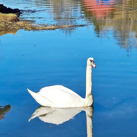 Semesterbostad 5 Person In Lonevag-by Traum *